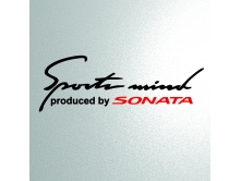 Sport mind Sonata (28см) арт.3698