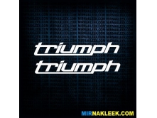 Triumph (17см) 2шт арт.3178