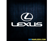 Lexus (15см) арт.3442