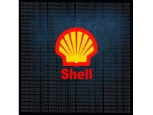 Shell (10см) арт.1543
