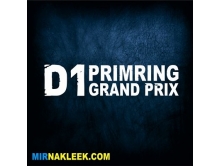 D1 Grand Prix (28см) арт.2320