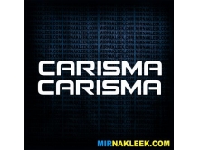 Carisma (2шт) 46см арт.2656