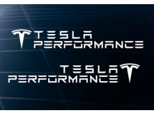 Tesla Performance (45x7см) 2шт арт.3686