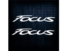 Ford Focus (46 cm) 2 шт. арт.2079