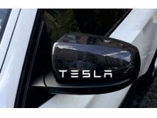 Tesla (15см) 2шт арт.3687