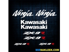 Kawasaki ZX-9R арт.1108