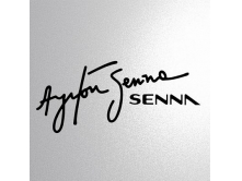 Ayrton Senna (17см) арт.2996