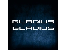 Suzuki Gladius (15см) 2шт арт.3834