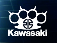 Kawasaki (12см) арт.3882