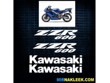 Kawasaki ZZR600 (2005-08) арт.2699