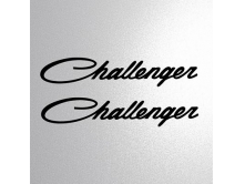 Challenger (28см) 2шт арт.3469