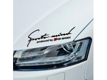 Audi RS Sport mind (28cm) арт.0009
