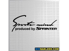 Mercedes Sprinter (28см) арт.2710