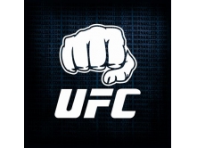 UFC (14см) арт.3153