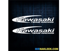 Kawasaki (20см) 2шт арт.2740