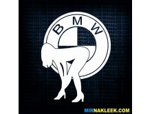 BMW (14см) арт.3191