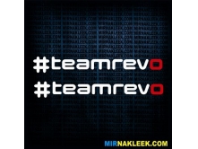 Team Revo (20см) 2шт арт.3317