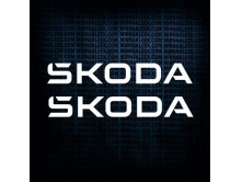 Skoda (25см) 2шт арт.3587