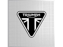 TRIUMPH logo (8 см) арт.2065