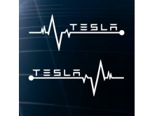 Tesla (15см) 2шт арт.3693