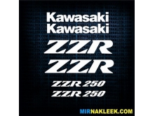 Kawasaki ZZR-250 арт.1114
