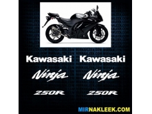 Kawasaki 250R арт.2742