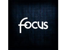 Ford Focus (28см) арт.2077