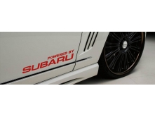 Subaru Powered (45см) 2шт арт.0364
